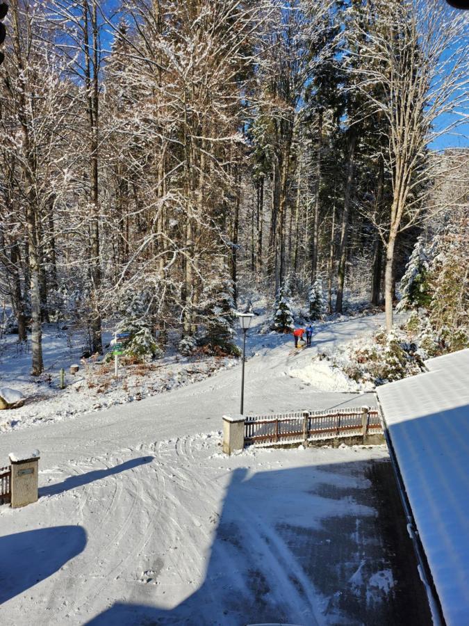 Ferienwohnung Haus Reindl Walchensee Exterior photo